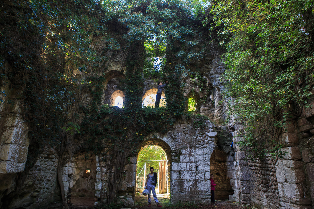 Miusera